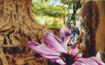 Energie update Rode Draak levenspad: 3 - 15 februari 2023